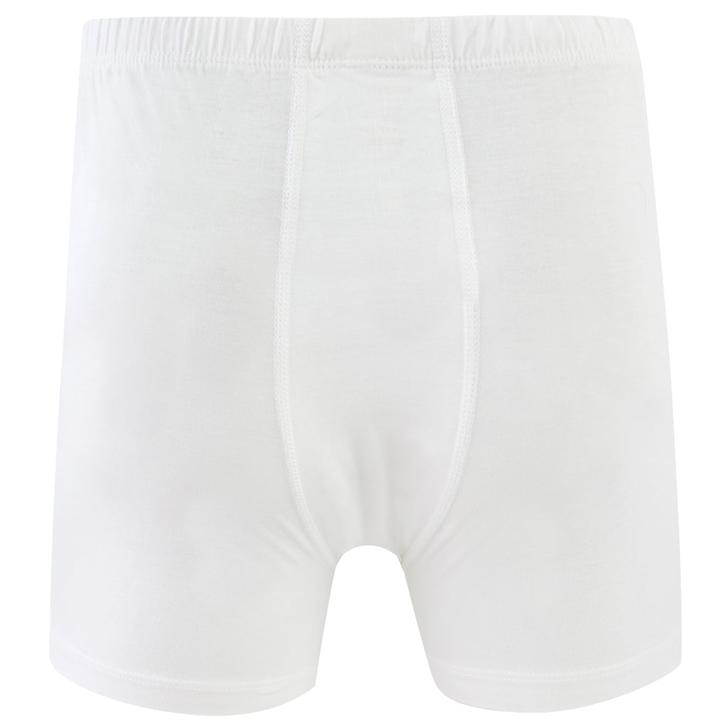 Boxer Briefs Cotton Classics for Men