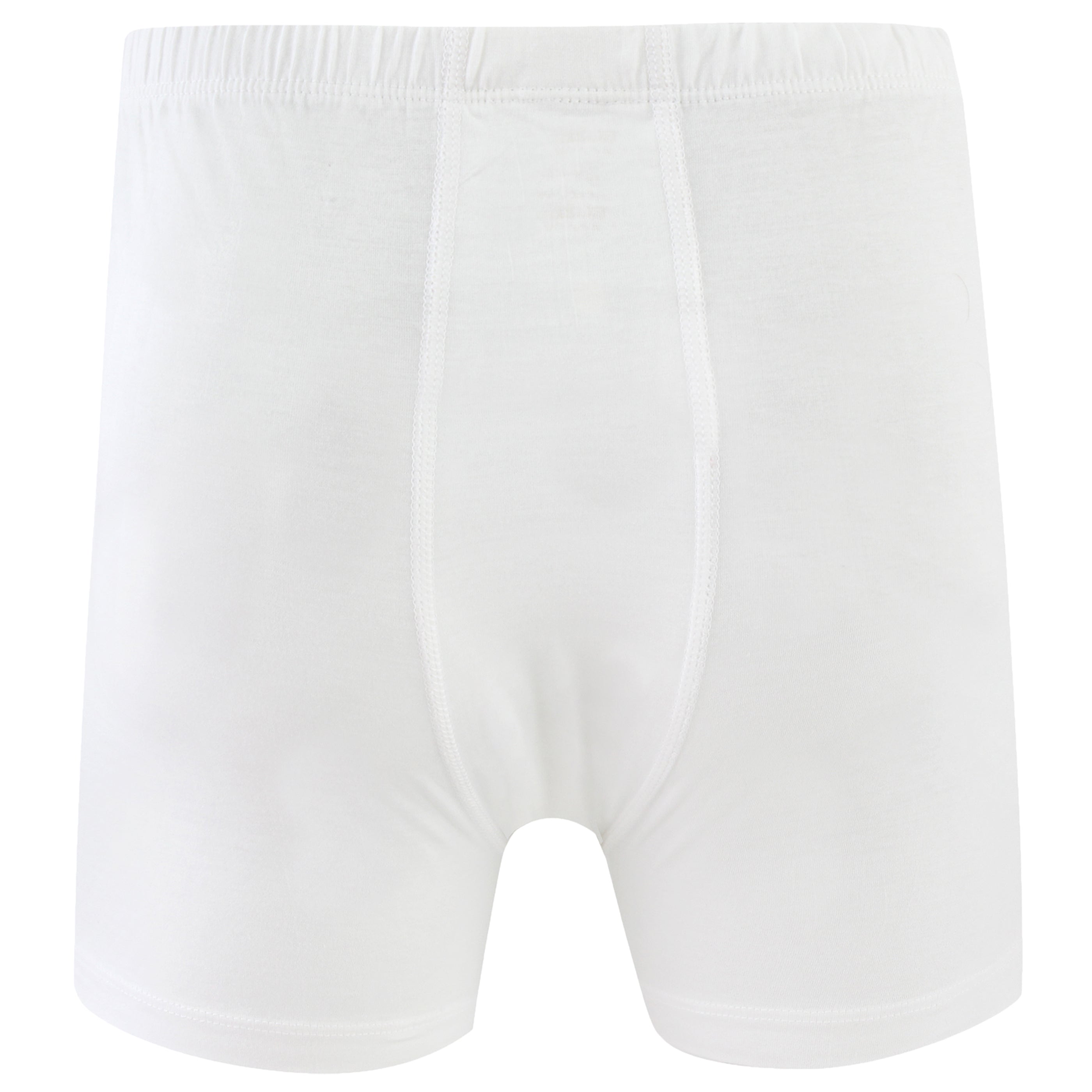 Boxer Briefs Cotton Classics for Men
