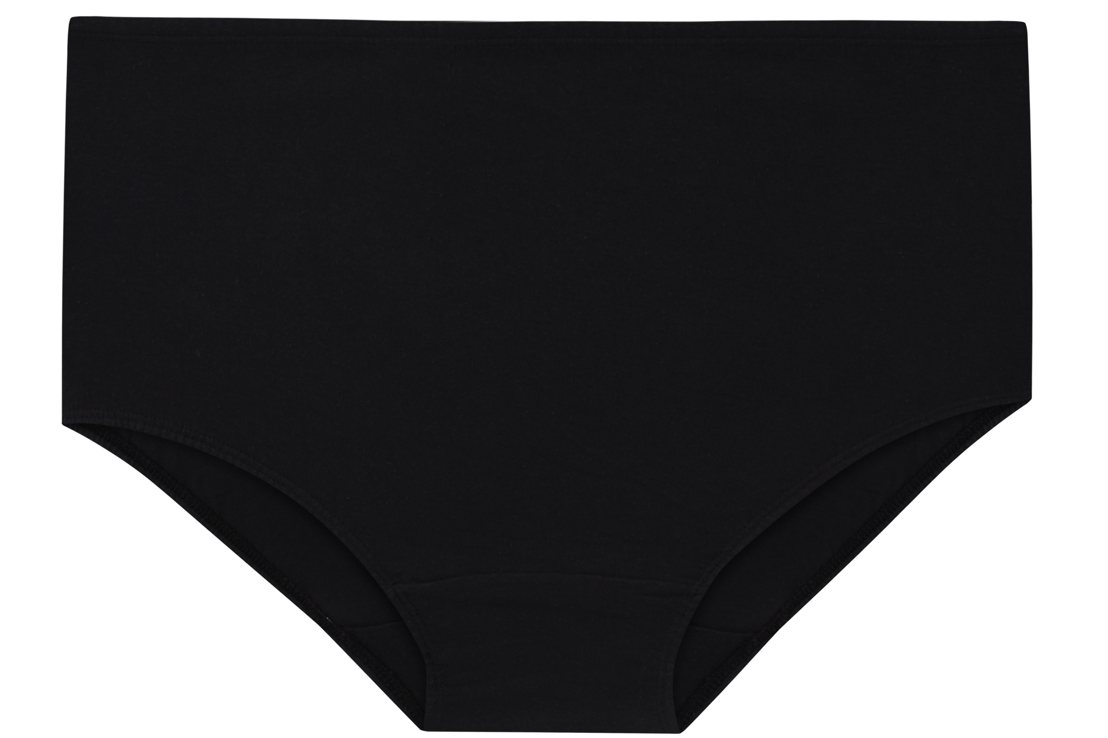 High-Waist Maxi Briefs for Women (Soft Colors)