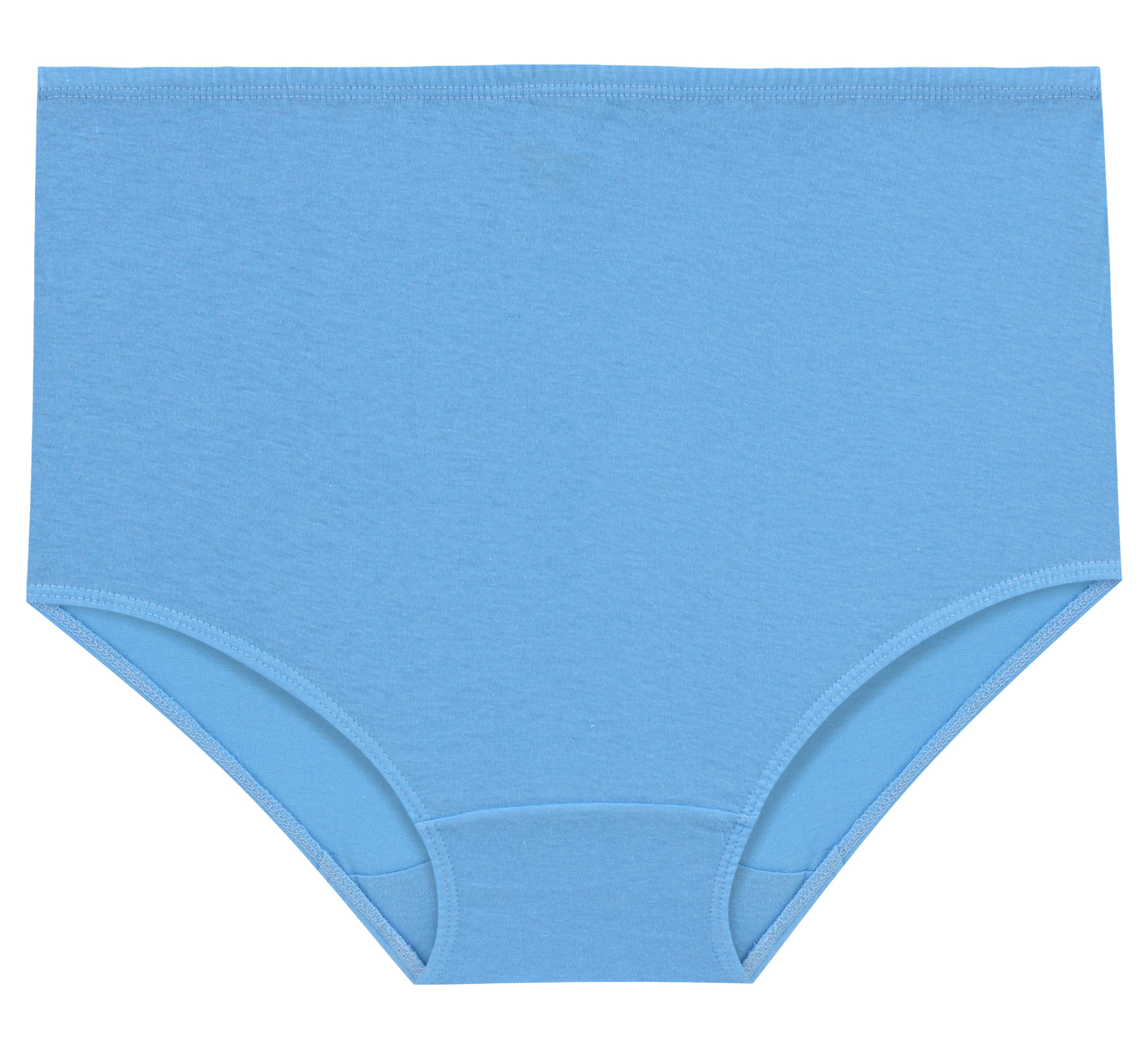 High-Waist Maxi Briefs for Women (Soft Colors)