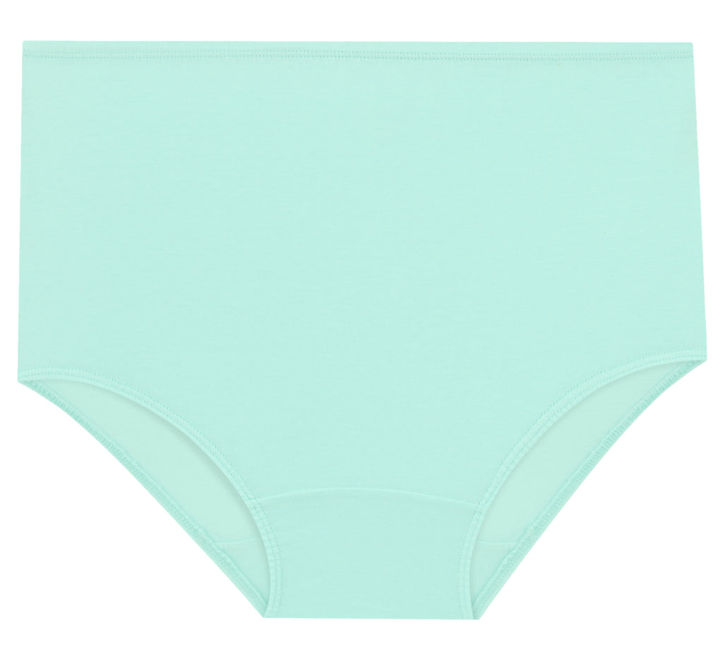 High-Waist Maxi Briefs for Women (Soft Colors)