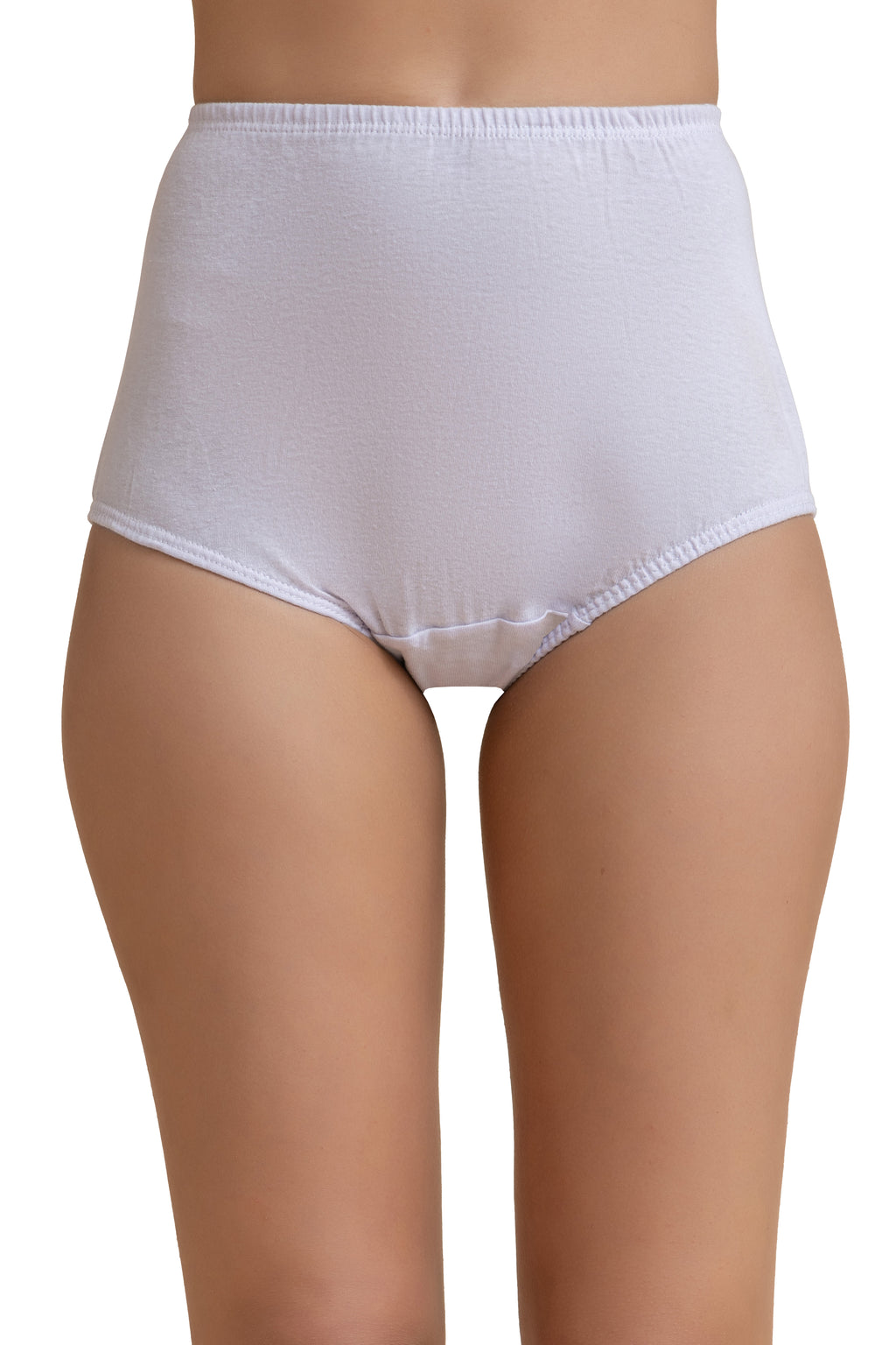 High-Waist Maxi Briefs for Women (Soft Colors)