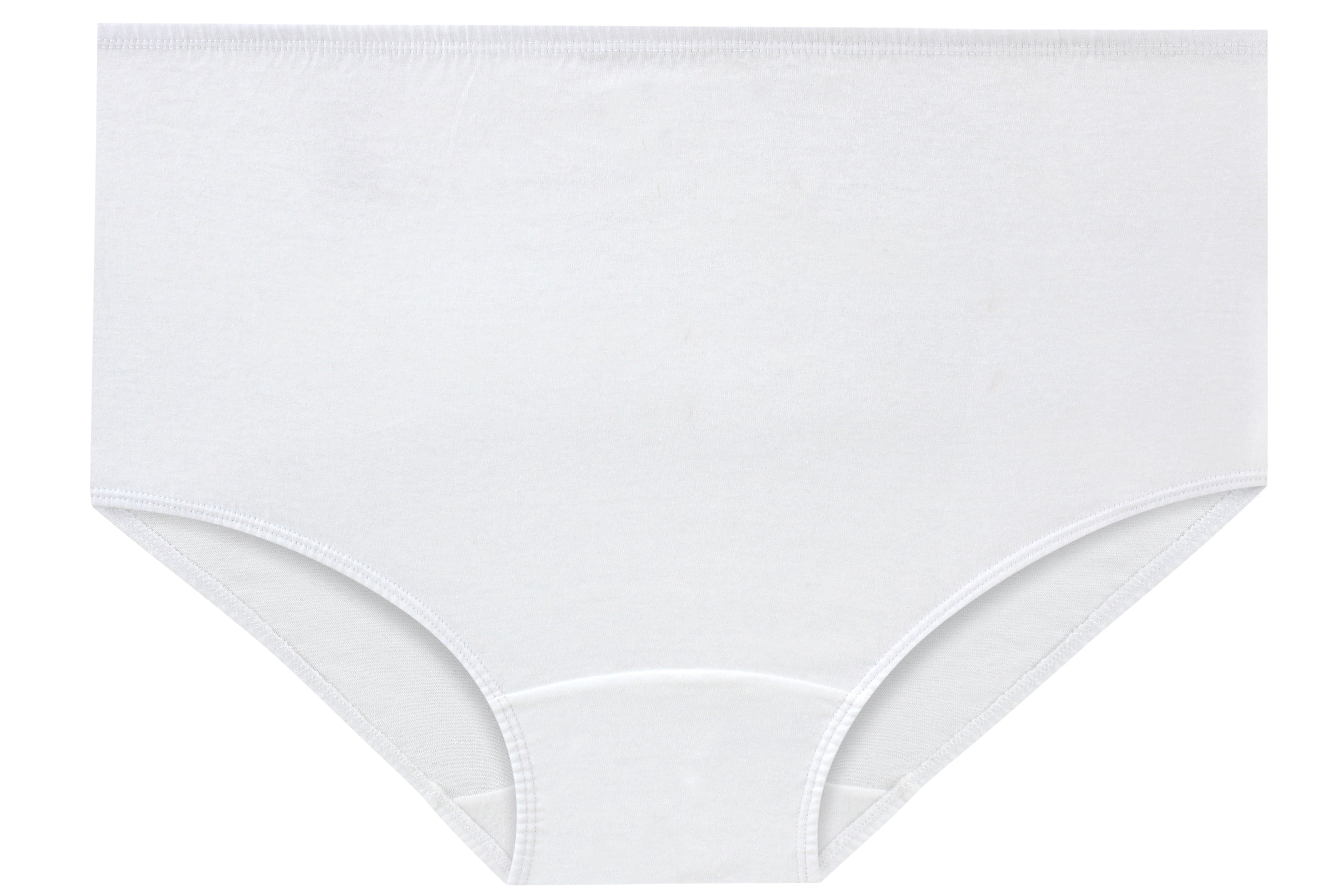 High-Waist Maxi Briefs for Women (Soft Colors)