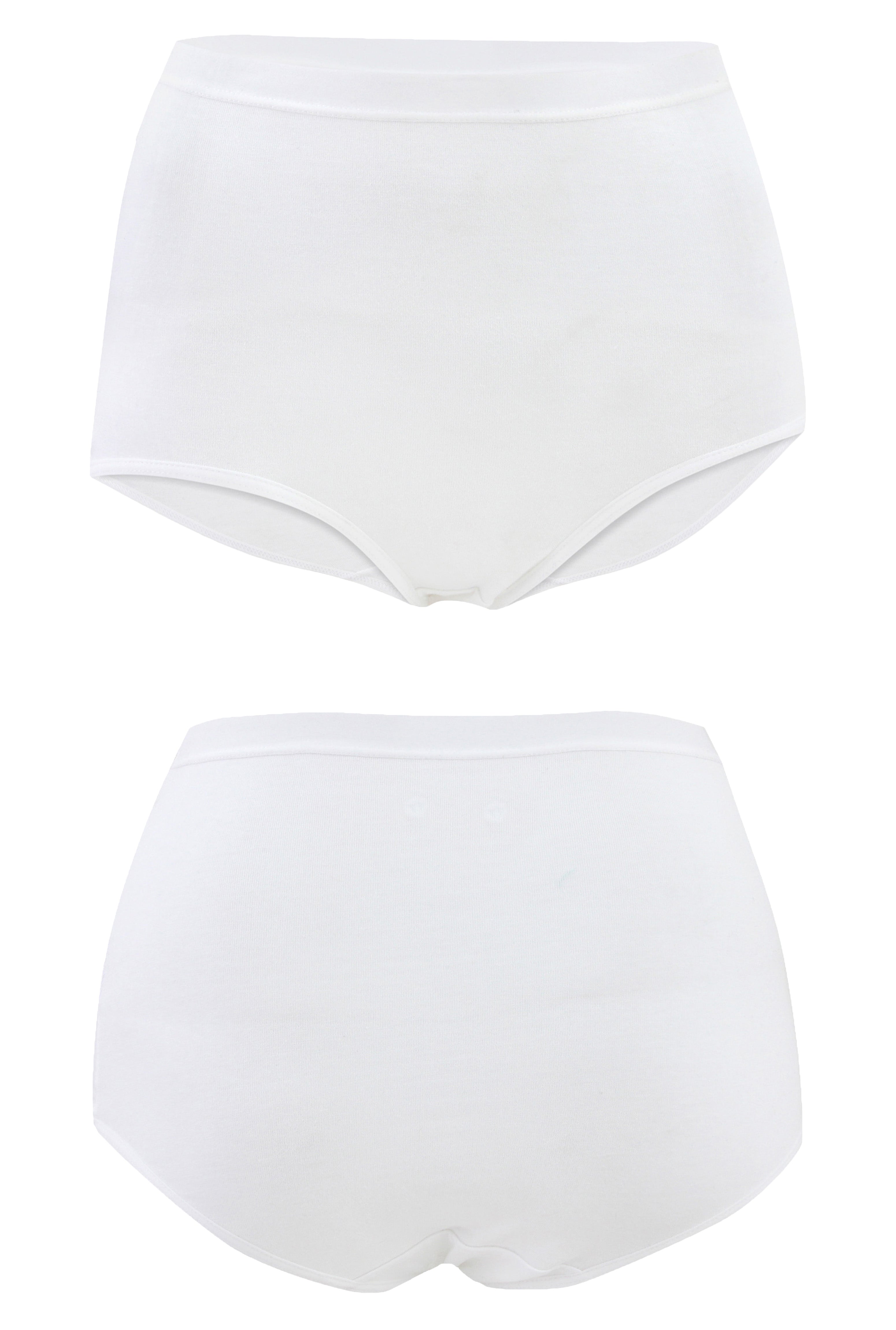 High-Waist Maxi Briefs for Women (Essential Colors)