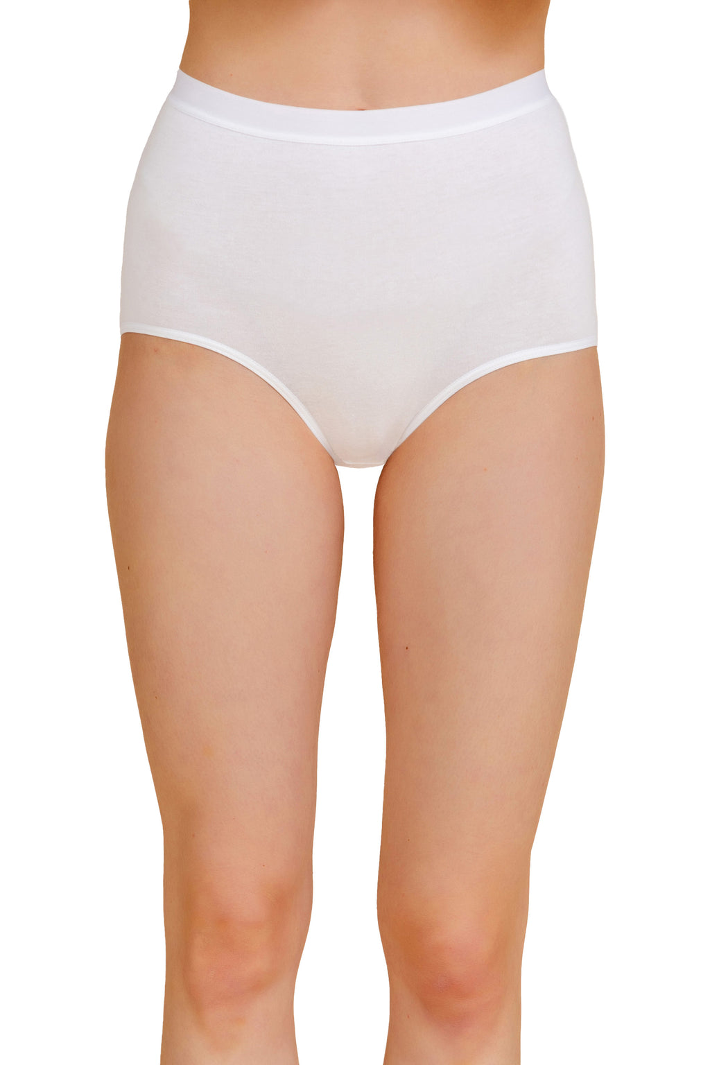 High-Waist Maxi Briefs (Essential Colors)